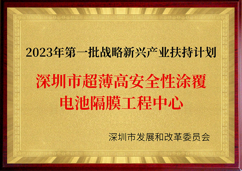 深圳市超薄高安全性涂覆电池隔膜工程中心