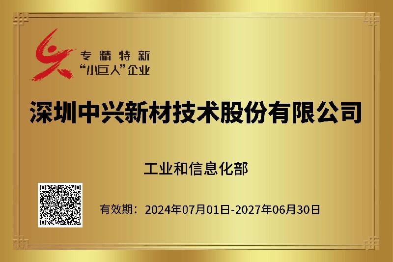 国家专精特新小巨人