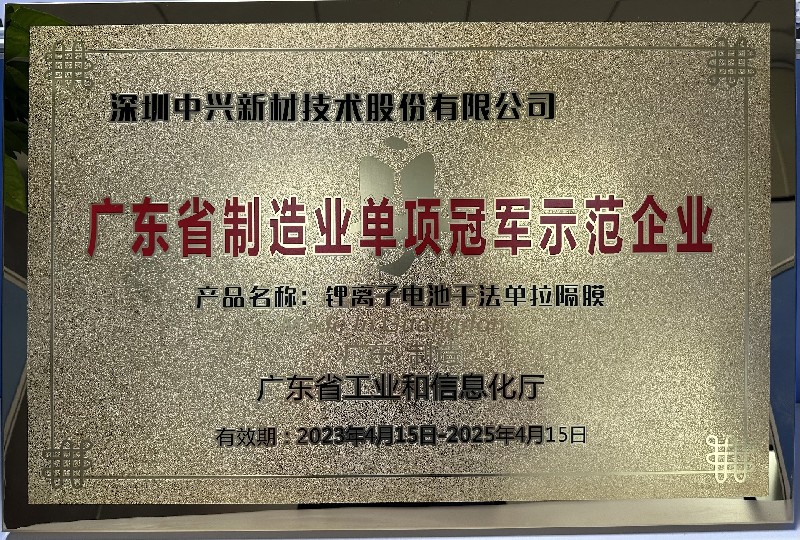 广东省单项冠示范企业